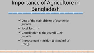 Importance of Agriculture in
Bangladesh
 One of the main drivers of economic
growth.
 Food Security.
 Contribution to the overall GDP
growth.
 Improvement nutrition & standard of
living.
 