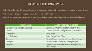 HORTICULTURECROPS
• In 2016, India was the second largest producer of fruits and vegetables in the world after China.
• In...