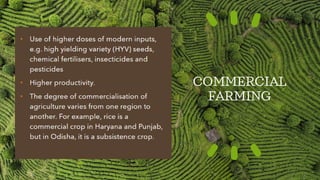 COMMERCIAL
FARMING
 