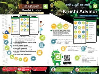 Reshaping Agriculture in Sri Lanka through ICT. | PPTX