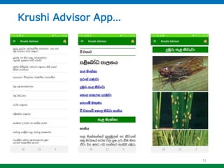 Reshaping Agriculture in Sri Lanka through ICT. | PPTX