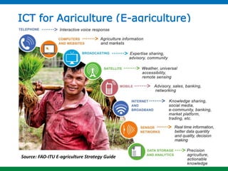 Reshaping Agriculture in Sri Lanka through ICT. | PPTX