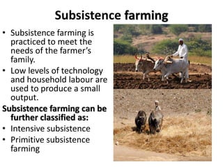 Subsistence farming
• Subsistence farming is
practiced to meet the
needs of the farmer’s
family.
• Low levels of technology
and household labour are
used to produce a small
output.
Subsistence farming can be
further classified as:
• Intensive subsistence
• Primitive subsistence
farming
 