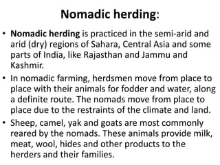 Nomadic herding:
• Nomadic herding is practiced in the semi-arid and
arid (dry) regions of Sahara, Central Asia and some
parts of India, like Rajasthan and Jammu and
Kashmir.
• In nomadic farming, herdsmen move from place to
place with their animals for fodder and water, along
a definite route. The nomads move from place to
place due to the restraints of the climate and land.
• Sheep, camel, yak and goats are most commonly
reared by the nomads. These animals provide milk,
meat, wool, hides and other products to the
herders and their families.
 