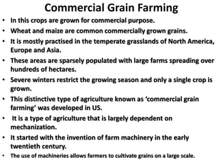 Commercial Grain Farming
• In this crops are grown for commercial purpose.
• Wheat and maize are common commercially grown grains.
• It is mostly practised in the temperate grasslands of North America,
Europe and Asia.
• These areas are sparsely populated with large farms spreading over
hundreds of hectares.
• Severe winters restrict the growing season and only a single crop is
grown.
• This distinctive type of agriculture known as ‘commercial grain
farming’ was developed in US.
• It is a type of agriculture that is largely dependent on
mechanization.
• It started with the invention of farm machinery in the early
twentieth century.
• The use of machineries allows farmers to cultivate grains on a large scale.
 