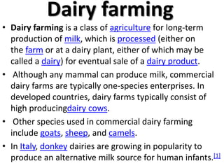 Dairy farming
• Dairy farming is a class of agriculture for long-term
production of milk, which is processed (either on
the farm or at a dairy plant, either of which may be
called a dairy) for eventual sale of a dairy product.
• Although any mammal can produce milk, commercial
dairy farms are typically one-species enterprises. In
developed countries, dairy farms typically consist of
high producingdairy cows.
• Other species used in commercial dairy farming
include goats, sheep, and camels.
• In Italy, donkey dairies are growing in popularity to
produce an alternative milk source for human infants.[1]
 