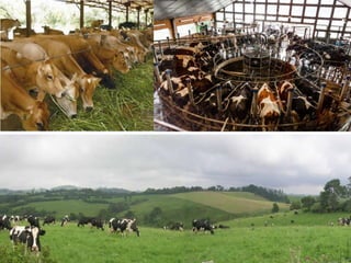 Agriculture geography class 8th 