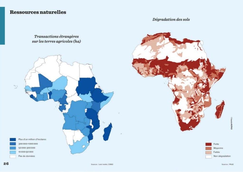 Agriculture africaine