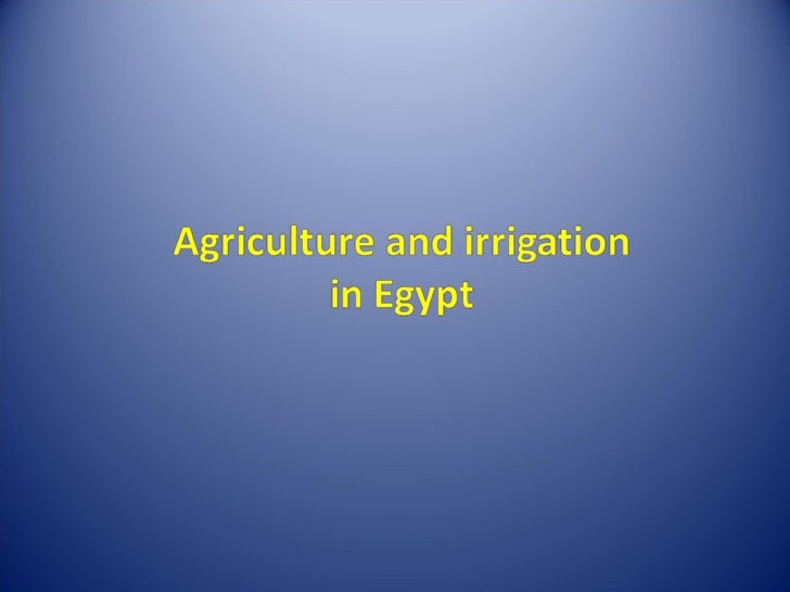 agriculture and irrigation in egypt egypts agriculture
