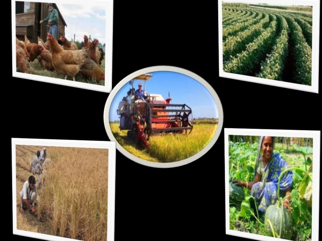 Agriculture and non agriculture sectors of economy