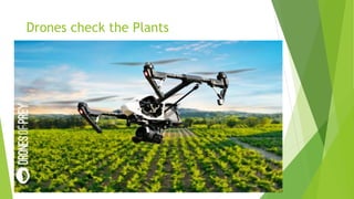 Drones check the Plants
 