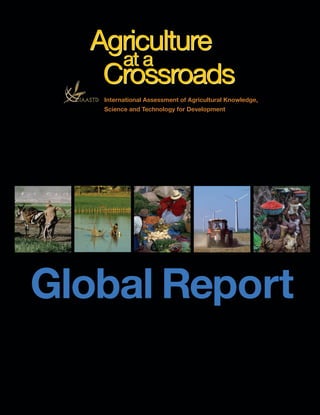 Agriculture
    at a
   Crossroads
   International Assessment of Agricultural Knowledge,
   Science and Technology for Development




Global Report
 