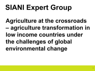 SIANI Expert Group
Agriculture at the crossroads
– agriculture transformation in
low income countries under
the challenges of global
environmental change
1
 