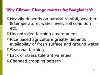 1
Why Climate Change matters for Bangladesh?Why Climate Change matters for Bangladesh?
Heavily depends on natural rainfall, weather
& temperature, water level, soil condition
etc.
Uncontrolled farming environment
Rice based agriculture greatly depends
availability of fresh surface and ground water
Seasonal farming
Lack of stress tolerant varieties
Changed cropping pattern
 