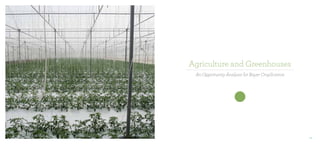 Agriculture and Greenhouses
An Opportunity Analysis for Bayer CropScience

177

 