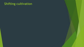 Shifting cultivation
 
