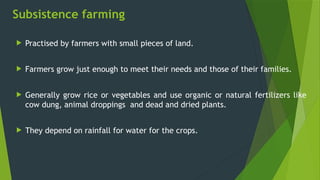 Subsistence farming
 Practised by farmers with small pieces of land.
 Farmers grow just enough to meet their needs and those of their families.
 Generally grow rice or vegetables and use organic or natural fertilizers like
cow dung, animal droppings and dead and dried plants.
 They depend on rainfall for water for the crops.
 