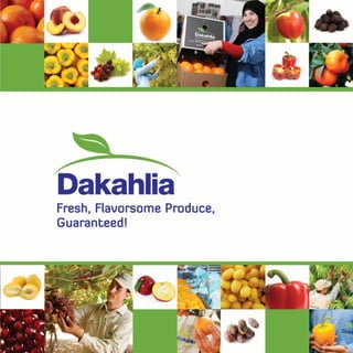 Dakahlia Agriculture Brochure 