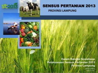 SENSUS PERTANIAN 2013
              PROVINSI LAMPUNG




                      Dalam Rangka Sosialisasi
             Pelaksanaan Sensus Pertanian 2013
                             Provinsi Lampung
3/31/2013                                  1
 