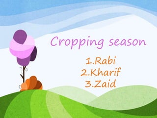 Cropping season
1.Rabi
2.Kharif
3.Zaid
 