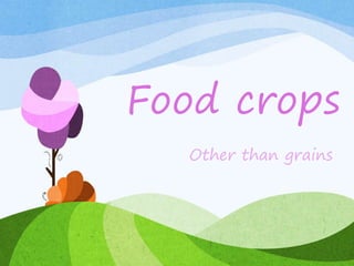 Food crops
Other than grains
 