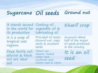 Sugarcane Oil seeds Ground nut
It stands second
in the world for
its production
Cooking oil ,
vegetable oil &
lubricating oil
Kharif crop
It is a crop of
tropical wet
regions
Principal oil seeds-
Ground nut ,rape
seeds & mustard
seeds
Accounts about
half of the major
oil seeds produced
in the country
Deep fertile soil,
alluvial & black
soil are ideal
soil
Others are –
sesame, linseed
castor seed ,
sunflower seed ,
cooton seed & copra
It is an oil
seed
 
