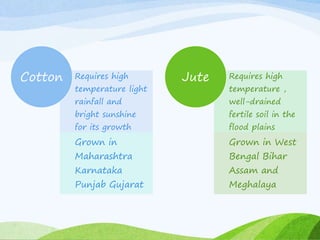 Requires high
temperature light
rainfall and
bright sunshine
for its growth
Grown in
Maharashtra
Karnataka
Punjab Gujarat
Cotton Requires high
temperature ,
well-drained
fertile soil in the
flood plains
Grown in West
Bengal Bihar
Assam and
Meghalaya
Jute
 