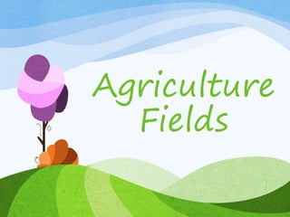 Agriculture
Fields
 