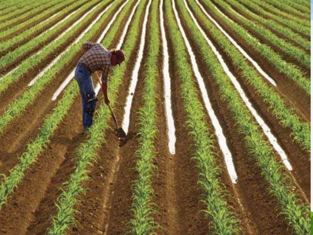 Geography;Agriculture