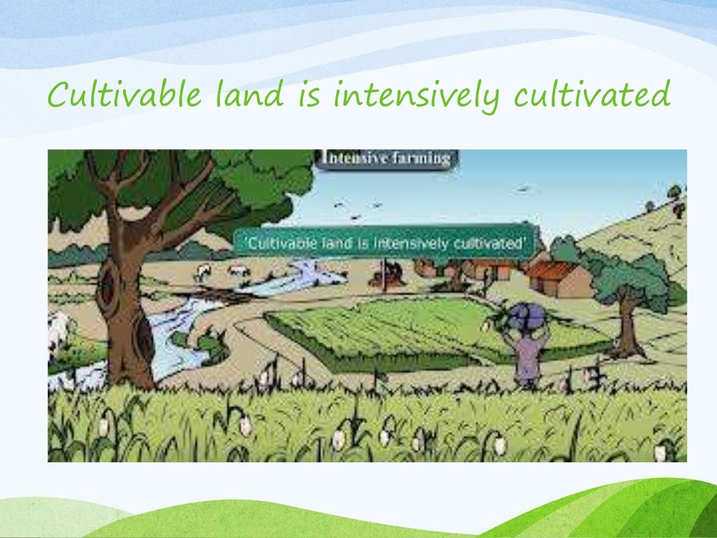 Geography;Agriculture