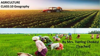 AGRICULTURE
CLASS:10 Geography
By Mrs. Tsering Chokeyi
(Teacher)
 