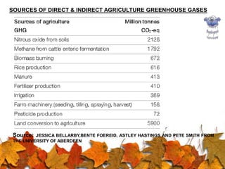 Wide variation in regional productivities