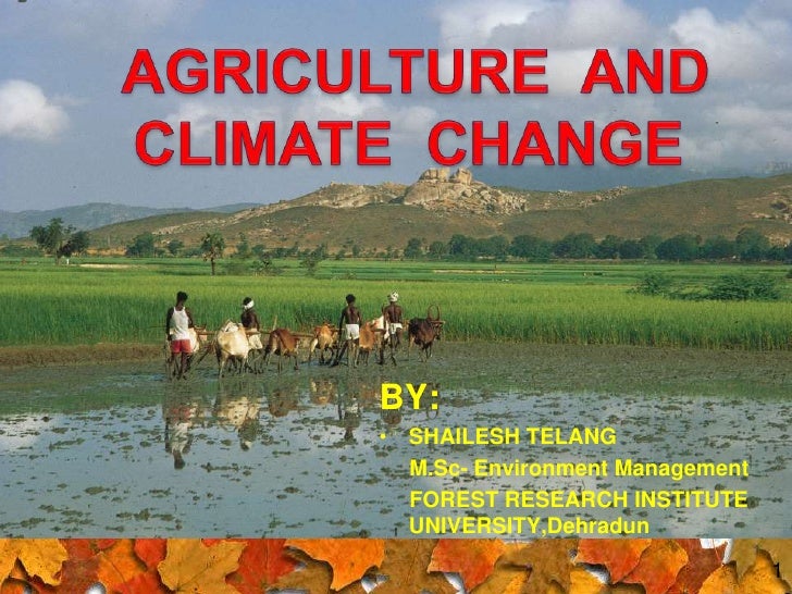 an analysis of the agriculture and climate Cost benefit analysis of climate change adaptation strategies on crop production systems: intercropping, conservation agriculture and climate smart agriculture. an analysis of the agriculture and climate Cost benefit analysis of climate change adaptation strategies on crop production systems: intercropping, conservation agriculture and climate smart agriculture.