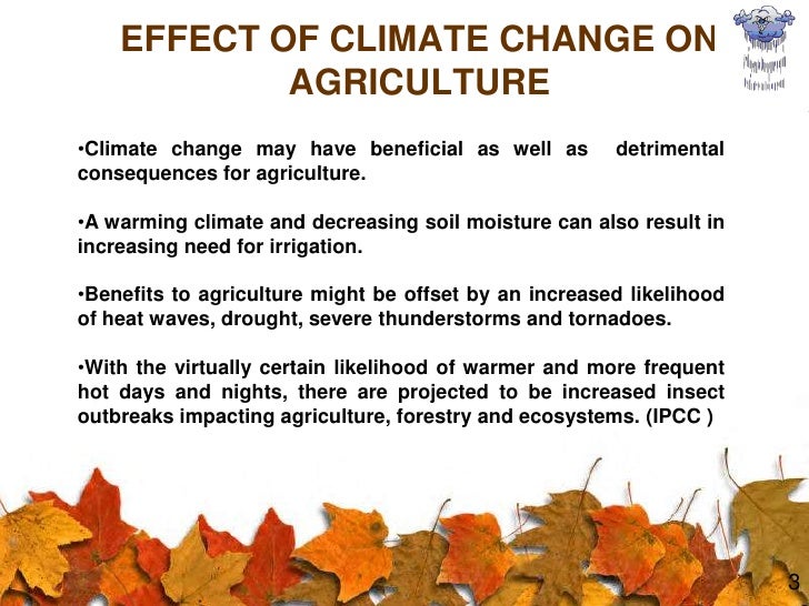 thesis on climate change and agriculture Over the past decade, human activity has started to cause an increased rate of negative change to our climate although climate change is a worldwide problem no one. thesis on climate change and agriculture Over the past decade, human activity has started to cause an increased rate of negative change to our climate although climate change is a worldwide problem no one.