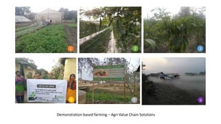 Demonstration based farming – Agri Value Chain Solutions
1 2 3
654
 