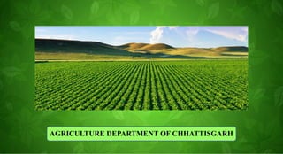 AGRICULTURE DEPARTMENT OF CHHATTISGARH
 