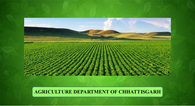 essay on agriculture of chhattisgarh