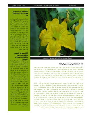 (6‫بهبود‬ ‫سبب‬ ‫ملچ‬ )
‫افشان‬ ‫گرده‬ ‫فعالیت‬
‫ها‬
‫بلاغلداری‬ ‫امریکایلی‬ ‫مجمتمع‬ ‫محققان‬
‫هلان‬ ‫گیاه‬ ‫کنترول‬ ‫مخت...