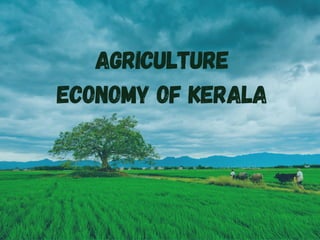AGRICULTURE
ECONOMY OF KERALA
 