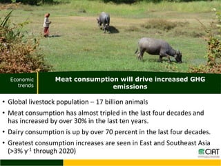 Trends of GHG emissions resulting from food systems (crops, livestock, land-based aquaculture, processed food) 