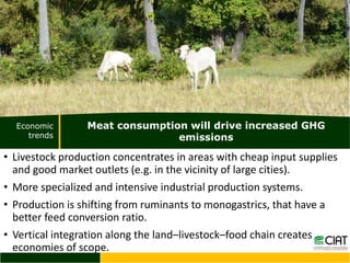 Trends of GHG emissions resulting from food systems (crops, livestock, land-based aquaculture, processed food) 