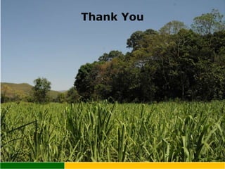 Trends of GHG emissions resulting from food systems (crops, livestock, land-based aquaculture, processed food) 