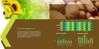 Les principales cultures sont le tournesol et les arachides. Ces
deux cultures sont pratiquées en majorité dans le Gharb et le
Loukkos. Leurs superficies sont très variables et dépendent
des conditions climatiques notamment des précipitations. Ce
sont ces conditions qui dictent les choix des agricultereurs
entre les céréales et les oléagineux.
Cultures oléagineuses
SUPERFICIE DES OLÉAGINEUX
2007-2008 2008-2009 2009-2010 2010-2011 2011-2012 2012-2013 2013-2014
Sup.
kHa
Pro.
KQx
Sup.
kHa
Pro.
KQx
Sup.
kHa
Pro.
KQx
Sup.
kHa
Pro.
KQx
Sup.
kHa
Pro.
KQx
Sup.
kHa
Pro.
KQx
Sup.
kHa
Pro.
KQx
CULTURES
OLÉAGINEUSES
46,3 733,2 66,3 894,2 92,1 1247,9 54,4 891,3 26,1 472,6 33.3 578 36.9 657.5
Tournesol 25,5 323,1 43,5 429,4 62,0 593,4 36,6 494,2 12,9 174,9 17.0 190 20.8 273.7
Arachides 20,8 410,1 22,8 464,8 30,1 654,5 17,9 397,1 13,2 297,7 16.3 388 16.1 383.8
Source : MAPM/DSS
L'AGRICULTURE MAROCAINE
Source : MAPM/DSS
2006
2007
2007
2008
2008
2009
2009
2010
2010
2011
2011
2012
2012
2013
2013
2014
Tournosol Arachide
36,1
19,7
25,5
20,8
43,5
22,8
62,0
30,1
36,6
17,9
12,913,2
17,0
16,3
20,9
16,1
PRODUCTION DES OLÉAGINEUX
2006
2007
2007
2008
2008
2009
2009
2010
2010
2011
2011
2012
2012
2013
2013
2014
Tournosol Arachide Source : MAPM/DSS
322
496
323
410
429
465
593
494
397
175
298
190
388
274
384
655
en chiffres
1 000 ha
1 000QX
1716
 