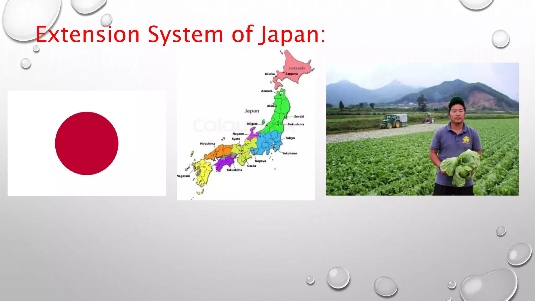 Extension System of Japan:
 