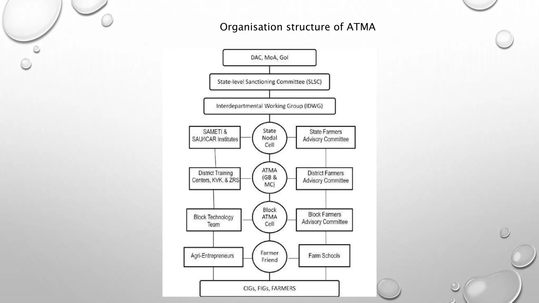 Organisation structure of ATMA
 