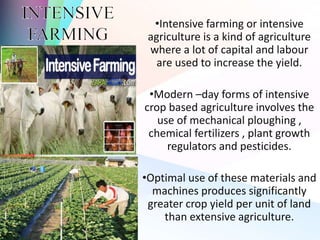Agriculture | PPTX