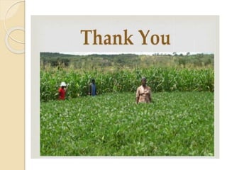 Agriculture finance