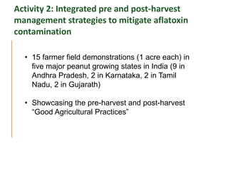 Agriculture for Nutrition and Health (A4NH) - Aflatoxin - ICRISAT activities