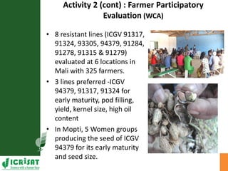 Agriculture for Nutrition and Health (A4NH) - Aflatoxin - ICRISAT activities