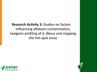Agriculture for Nutrition and Health (A4NH) - Aflatoxin - ICRISAT activities